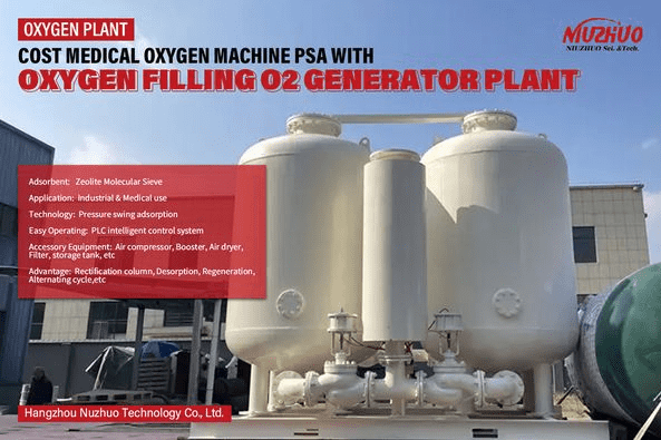 PSA oxygen generator (model: NZO-200)