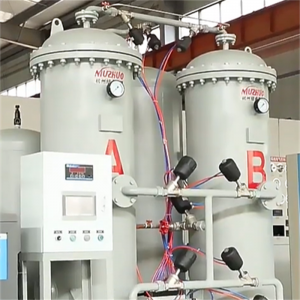 NUZHUO Delivery Fast PSA Nitrogen Generator Plant With PLC Touchable Screen Controlled Factory Sell