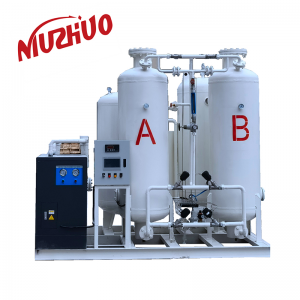 2021 wholesale price Psa Oxigen Generator - 30nm3/hr Psa Medical Oxygen Generator All In One Type Purity Oxygen Generator Psa Oxygen Plant – Nuzhuo
