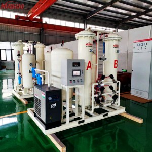 NUZHUO Oxygène Separation Machine Amidy 20/30/40/50 Nm3/H Pressure Swing Absorption (PSA) O2 Generator Plant