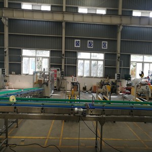 Russia Project of Chocolate Confections Semi Auto Case Packing Line