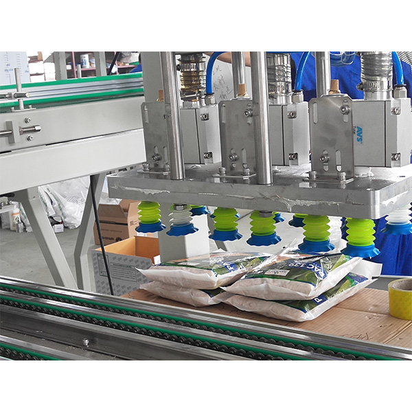 Chinese wholesale Pouch Liquid Packing Machine - Seeds Packing Machine-Thailand Pick and Place Case Packer  – Ieco