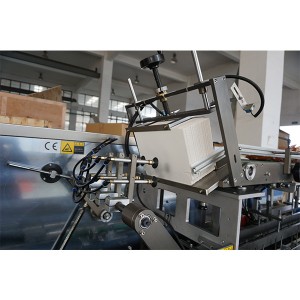 Malaysia Project of Coffee Powder Cartoning Machine and Small Sachets Vertical Packing Machine