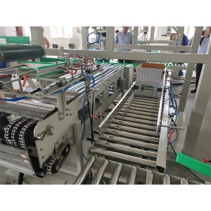 Short Lead Time for New Design Full Automatic Carton Box Case Packing Line
