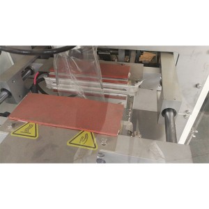 Projet mauricien de machine d'emballage de sacs monofilm en film PE vertical pour sucre