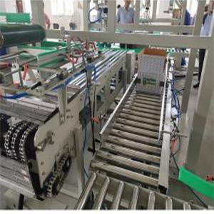 Thailand Project of Seeds Pick up and Place Case Case Packer Packing Machine