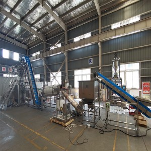 Latvia Project of 30g and 60g Chips Vertical Gusset Pouch Packing Machine and Flavoring Machine