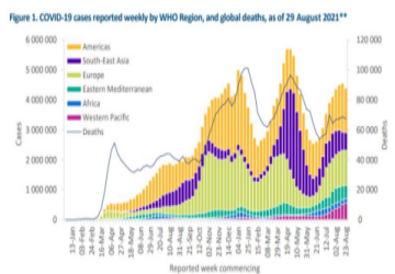 WHO: Last week there were nearly 4.4 million new confirmed cases of COVID-19 worldwide; Philippine officials admit that the Philippines’ information management capabilities are insufficient