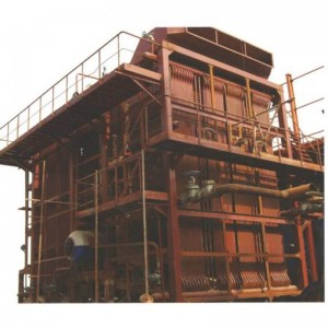 DHW Biomass Boiler