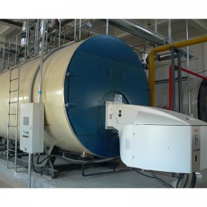 WNS Gas Fired Boiler