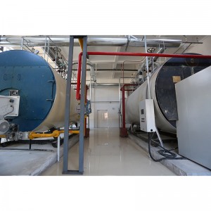 WNS Gas Fired Boiler