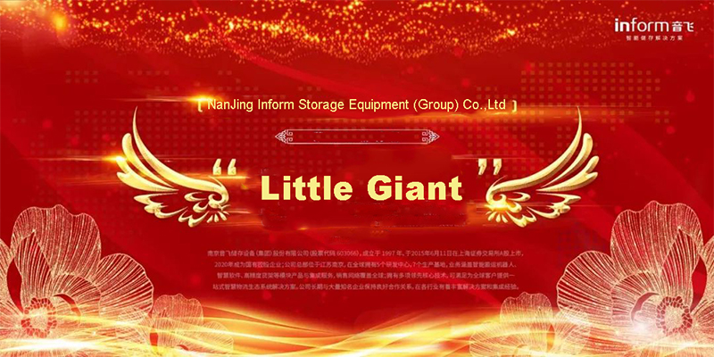 Inform Storage został wymieniony jako krajowy wyspecjalizowany i innowacyjny „mały gigant”