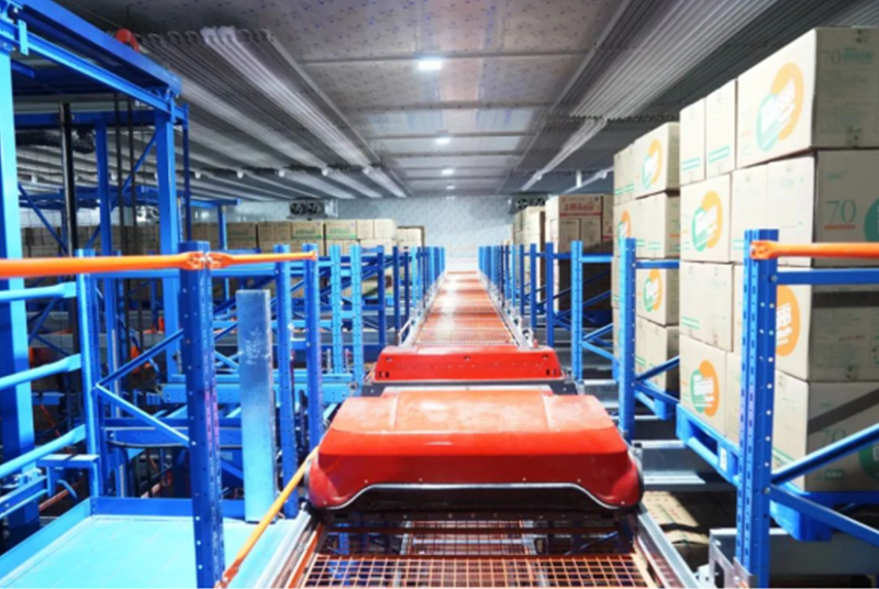 How does Shuttle and Shuttle Mover System Work in Cold Warehouse?