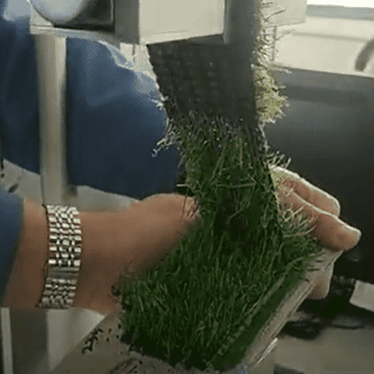 2019 wholesale price Spray Pu System - Environment-friendly polyurethane lawn glue (NCP-9A green /9B) – INOV