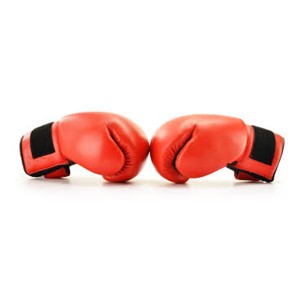 Best quality Modified Silane - Boxing Gloves System – INOV