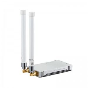 30km Drone Long Range TCPIP/UDP 30Mbps Transmitter 2Watts 2*2 MIMO IP MESH Link