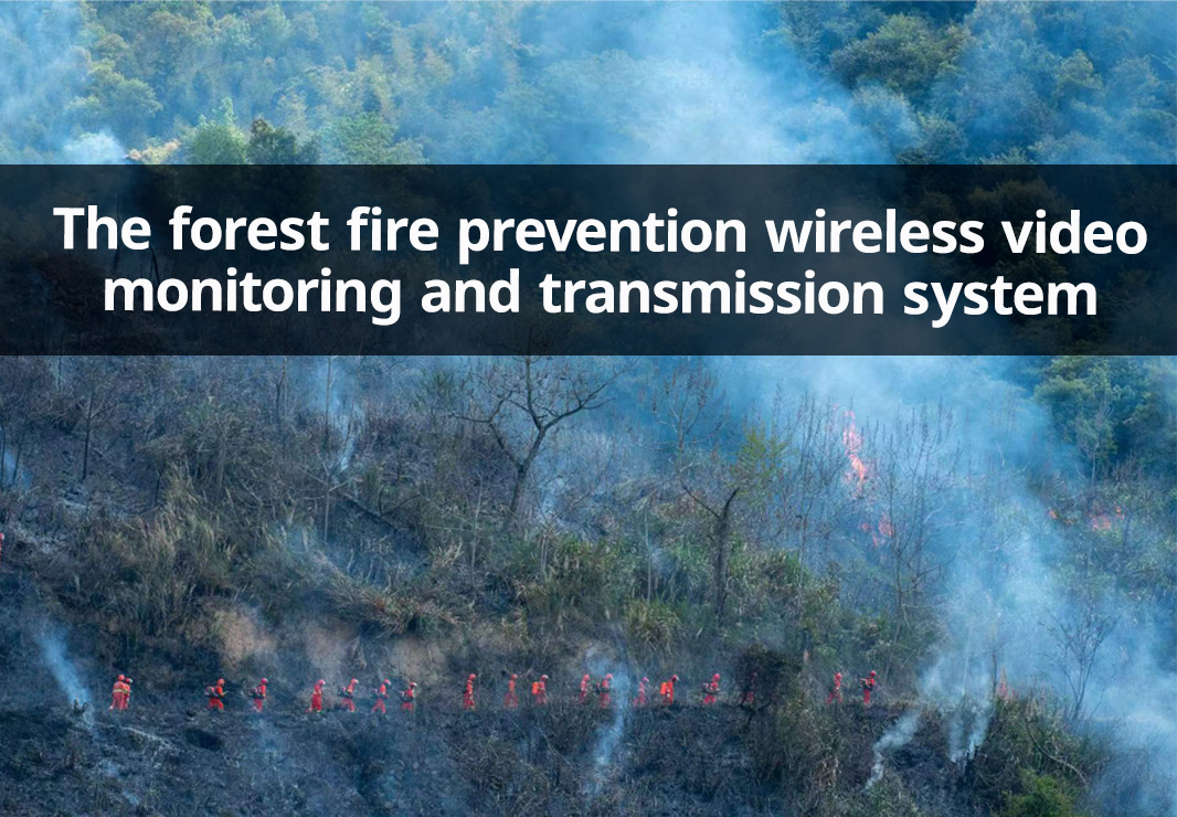 Беспроводная система видеонаблюдения и передачи данных для предотвращения лесных пожаров