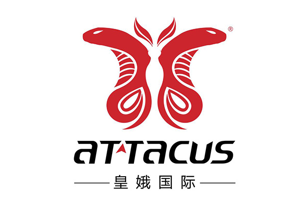 2019 China New Design Aerobic Fitness Workouts -
 Zhejiang Ala Fitness  Technology  Ltd. – Donnor