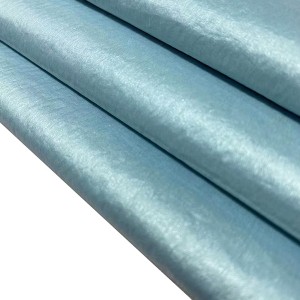 Makintab na Taffeta Nylon Silver Coated 38gsm 100% Nylon Fabric Para sa Tent YAT891