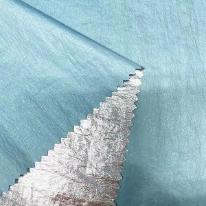 Shiny Taffeta Nylon Silver Yakavharwa 38gsm 100% Nylon Fabric YeTende YAT891