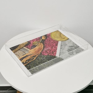 Acrylic Tray with Insert Bottom – Custom Size