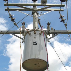 ឧបករណ៍បំលែងបង្គោលភ្លើងស្តង់ដារ IEEE 7200V ដល់ 480/277V 167 kva ដំណាក់កាលតែមួយ polemounted transformer FR3 oil8