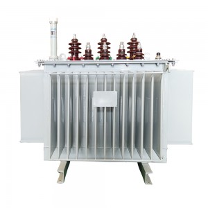 IEC/IEEE/ANSI/NEMA ស្តង់ដារ 30 kVA 50 kVA 11000V ដល់ 400V Three Phase Oil Immersed Transformer2