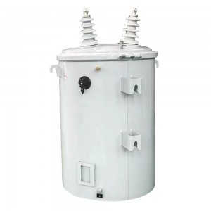 12470v 13.8kv Cooper Winding Single Phase Pole Mounted Oil Type Distribution Transformers2