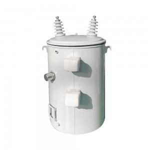 IEC 60076 መደበኛ 50 kVA 100 kVA 13.8kV እስከ 120/240V ነጠላ ደረጃ ምሰሶ የተገጠመ ትራንስፎርመር2