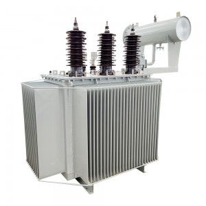 Tre tipi di sottostazione duplex di avvolgimento 11kv 33kv 50kva 100kva 200kva 300kva Power Transformer3