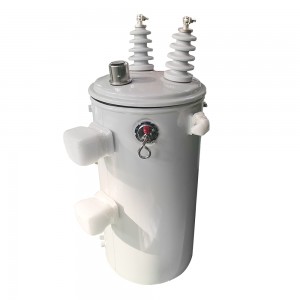 IEC 60076 Standarts 50 kVA 100 kVA 13,8 kV līdz 120/240 V vienfāzes stabam uzstādīts transformators4