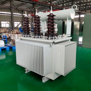 Estàndard IEC/IEEE/ANSI/NEMA 30 kVA 50 kVA 11000V a 400V Transformador trifàsic immers en oli4