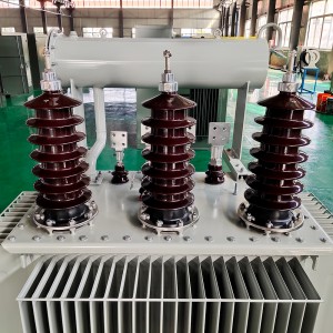 Struttura affidabile fornita dalla fabbrica Trasformatore step-up da 1250 kVA Trasformatore a bagno d'olio trifase6