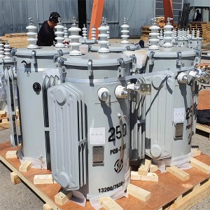 Single Phase overhead pole mounted Oil Immersed Distribution Transformer4