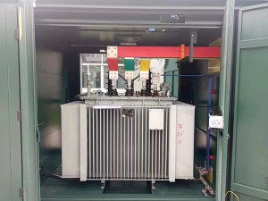 IEC Standard 630KVA Transformator6 i nënstacionit të lëvizshëm të nënstacionit 500kv të paramontuar në formë kutie evropiane