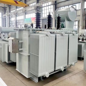 Carcasa de acero inoxidable Impermeable 1500 kva 750 kva 6,6 kV 0,42 kV Transformador trifásico cheo de aceite7