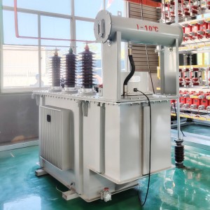 Mataas na Stability Distribution 800KVA 20kV/0.4kV Customized Three Phase Oil Immersed Power Transformer6