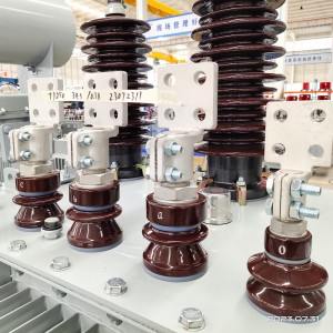 Standard IEC/IEEE/ANSI/NEMA 30 kVA 50 kVA 11000V până la 400V Transformator trifazat cu scufundare în ulei4