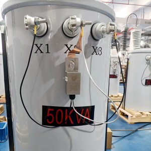 IEEE standarta 50 kva vienfāzes polu uzstādīts transformators 13800V līdz 400/230V āra lietošanai Delta-Wye5