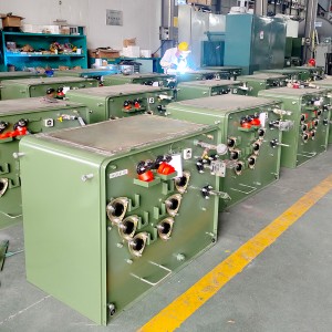 Biologisch abbaubarer, mit FR-3-Öl gefüllter KNAN 34500 V bis 416 V, 500 kVA, einphasiger, plattenmontierter Transformator6