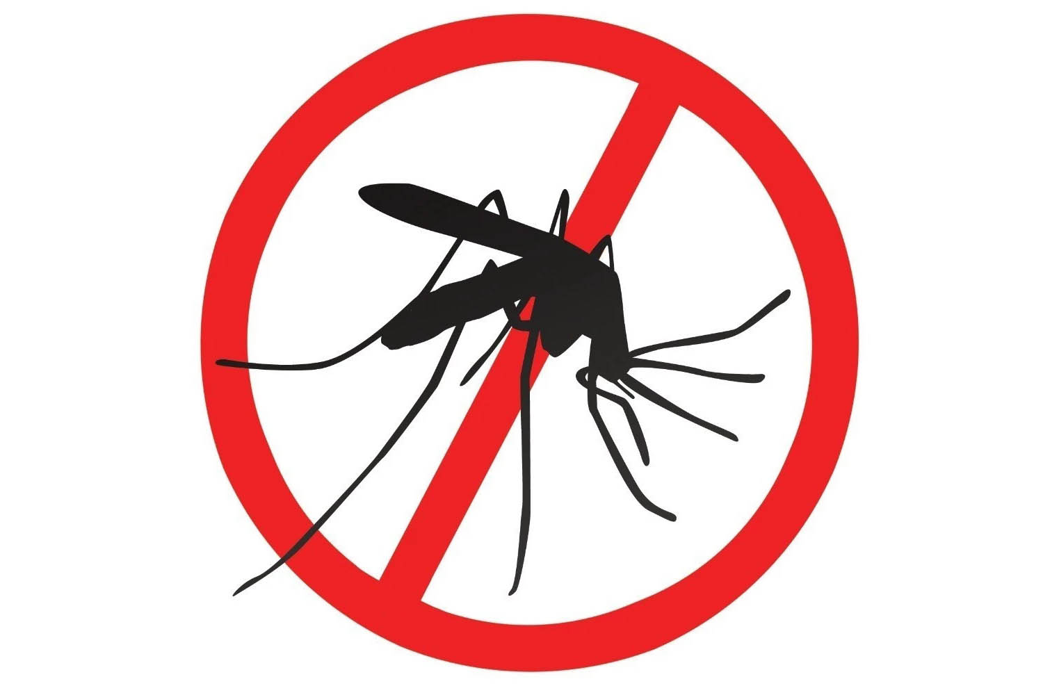 The importance of mosquito repellent in the summer