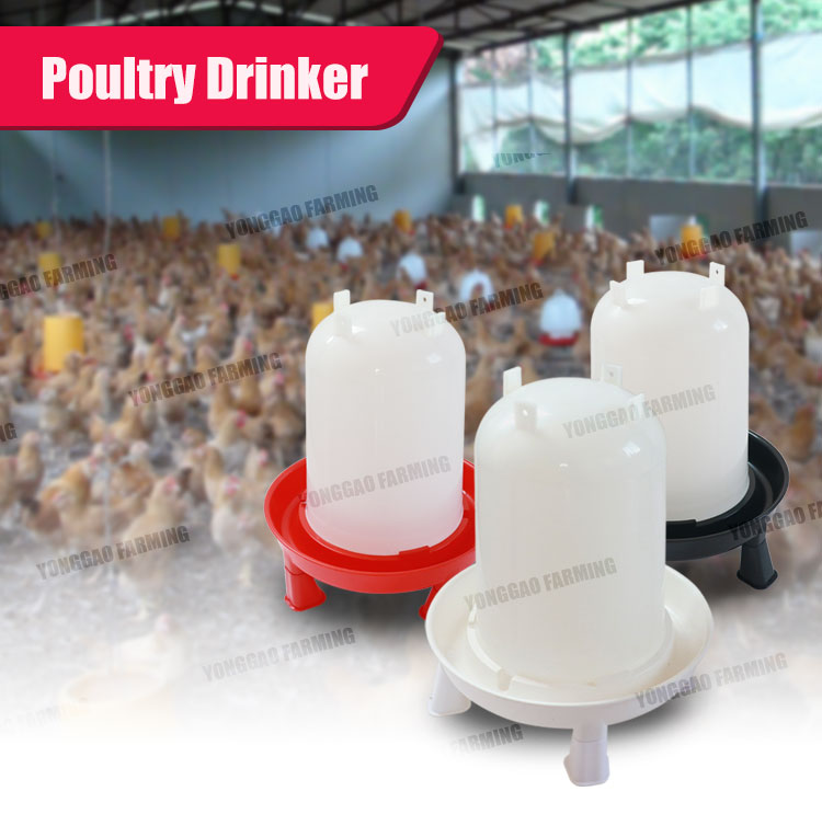 Broiler Dị Iche Iche ikike Manual Plastic Water feeder Drinker Chicken okuko aṅụ