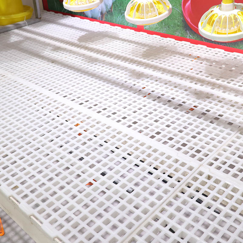 Broiler Chicken Mesh gemaach Slat Floor Gefligel Plastic Buedem System fir Domaine
