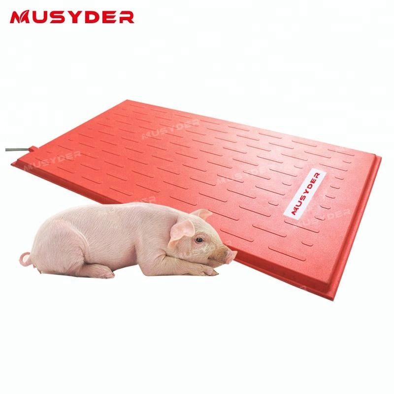 pig farm equipment Composite Heating pad / warm mat