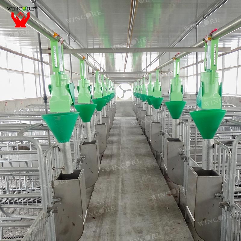 2019 China New Design Pig Farrowing Pens - Pig farming equipment Sow Automatic feeder animal feeding line system – Jimu