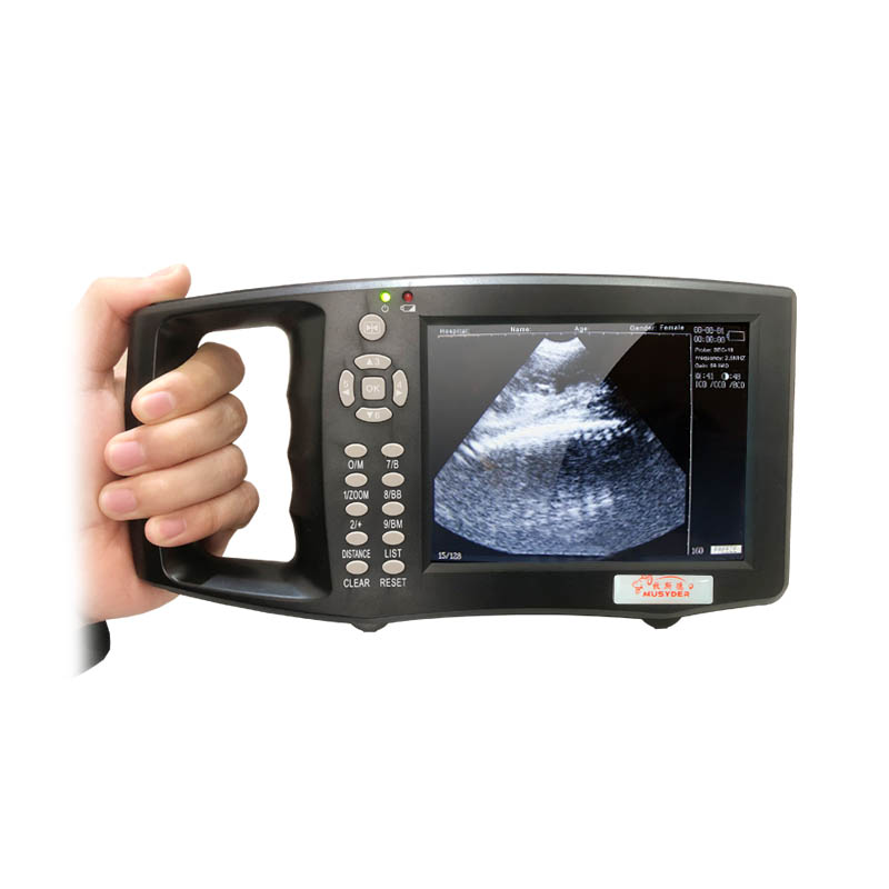 मेडिकल हाथ में पोर्टेबल स्वाइन अल्ट्रासाउंड मशीन पशु चिकित्सा अल्ट्रासाउंड प्रणाली गर्भावस्था अल्ट्रासाउंड स्कैनर