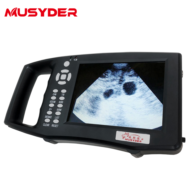 Beterinaryo baboy ultrasound machine alang sa Pagmabdos Test