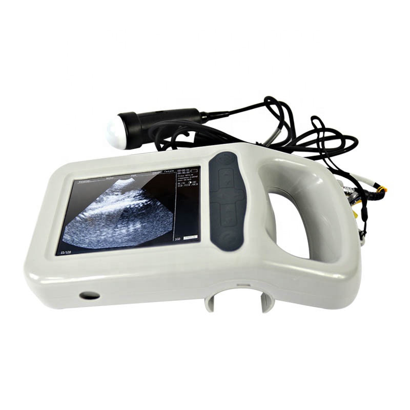ဝက်နွားမ ultrasound စက်ဝက်များအတွက်ရောဂါရှာဖွေသည့်စနစ်ကိုယ်ဝန်စမ်းသပ် ultrasound