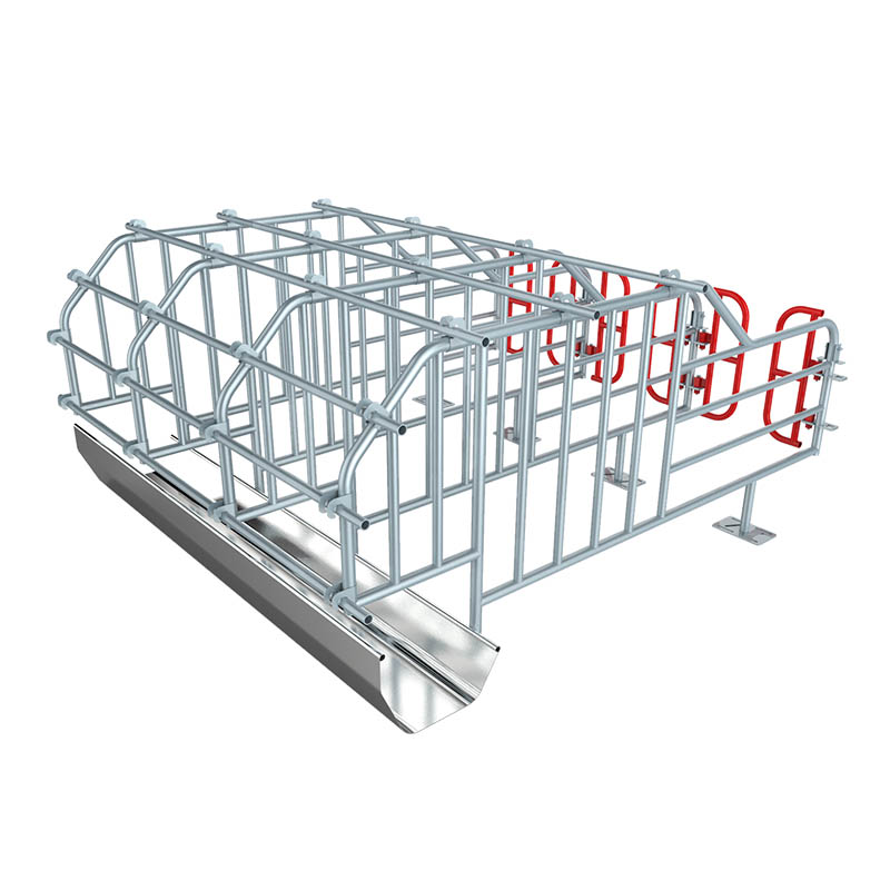 Pig Farming Equipment Galvanized Pipe Sow Gestation Cages Stall Pen Pig Gestation Crate