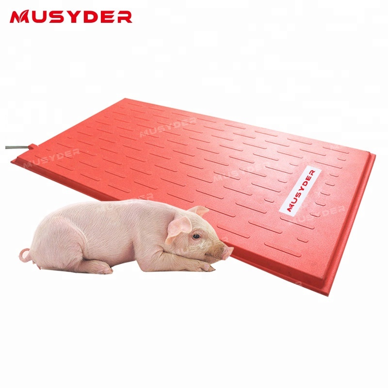 Bottom price Pig Semen Refrigerator - poultry equipment animal heat board piglet electric heating plate – Jimu